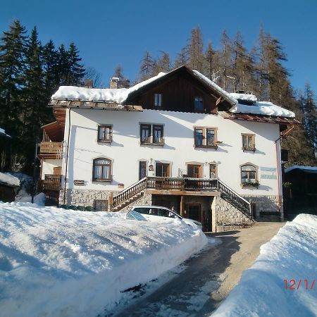 Menardi Sisto B&B Cortina d'Ampezzo Ngoại thất bức ảnh